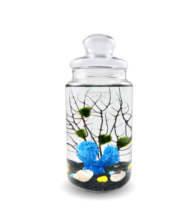 Charm series with coral theme