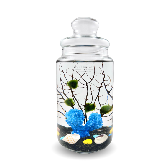 Charm series with coral theme