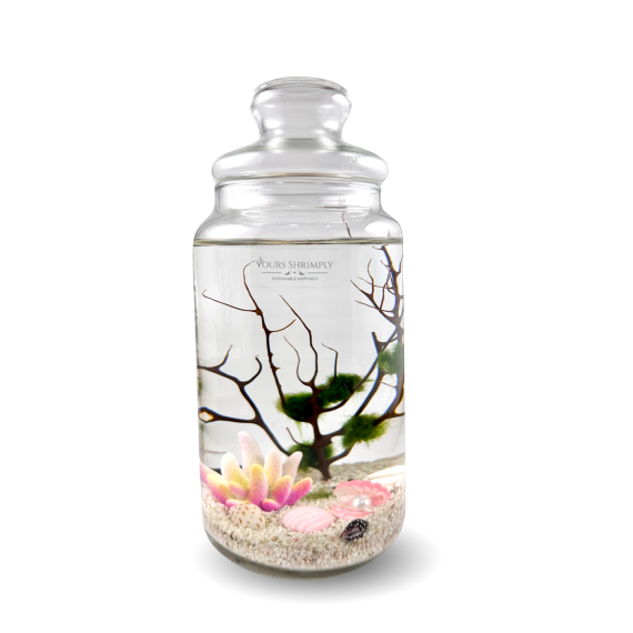 Charm series with coral theme