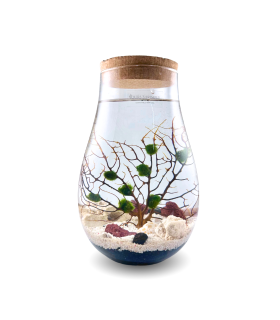 Teardrop series with natural rock theme