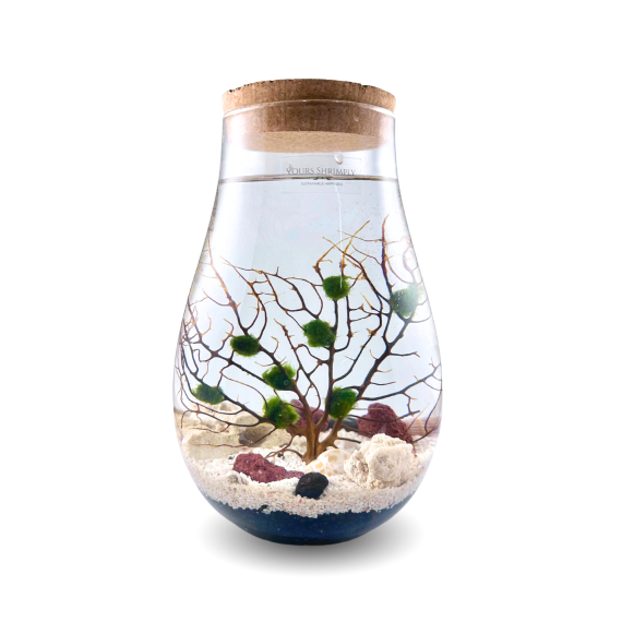 Teardrop series with natural rock theme