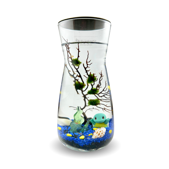 Sleek series with aqua turtle theme