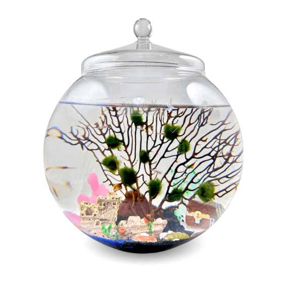 Globe Plus series with shipwreck theme