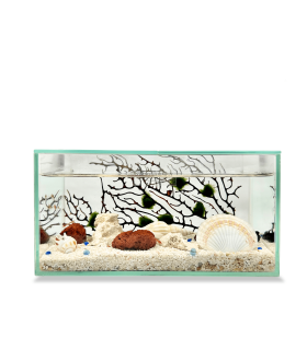 Prism Landscape series with rocks&shells theme
