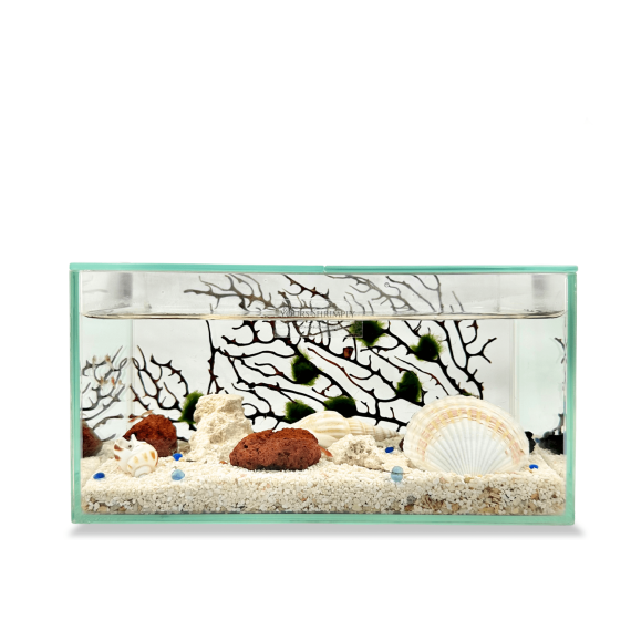 Prism Landscape series with rocks&shells theme